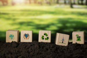 steps for sustainability in business